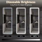 Miroir de courtoisie rectangulaire moderne PexFix de 20 po L x 63 po H pleine longueur à DEL avec lumières, en argent