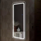 PexFix 20 in. W x 63 in. H Modern Full Length Rectangular LED Vanity Mirror with Lights in Silver