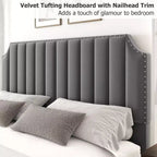 Cadre de lit WhizMax Grand lit/Très grand lit avec tête de lit de 127,5 cm de hauteur, cadre de lit Queen en velours avec tête et pied de lit touffetés à canaux verticaux