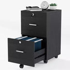 Meuble de classement vertical Karl Home 2 tiroirs en MDF noir 40 cm l.
