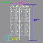 MAYEERTY Lot de 2 treillis de jardin en métal antirouille verts de 220 x 50 cm pour plantes grimpantes