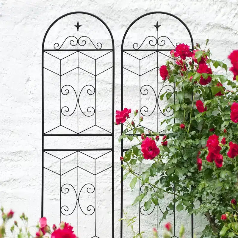 MAYEERTY Lot de 2 treillis de jardin en métal, 220 x 50 cm, antirouille, pour plantes grimpantes, fleurs d'extérieur, noir