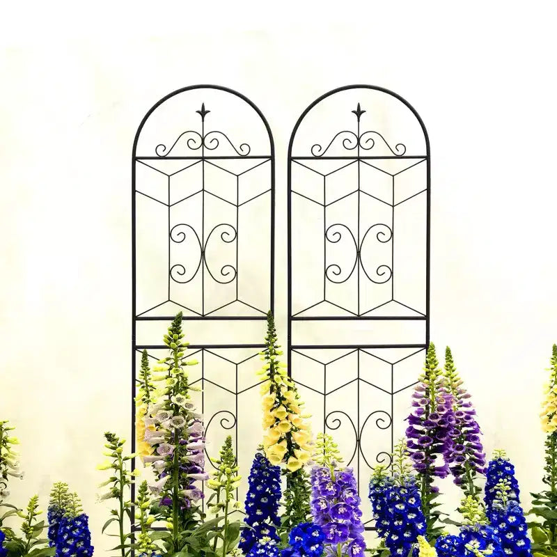 MAYEERTY Lot de 2 treillis de jardin en métal, 220 x 50 cm, antirouille, pour plantes grimpantes, fleurs d'extérieur, noir