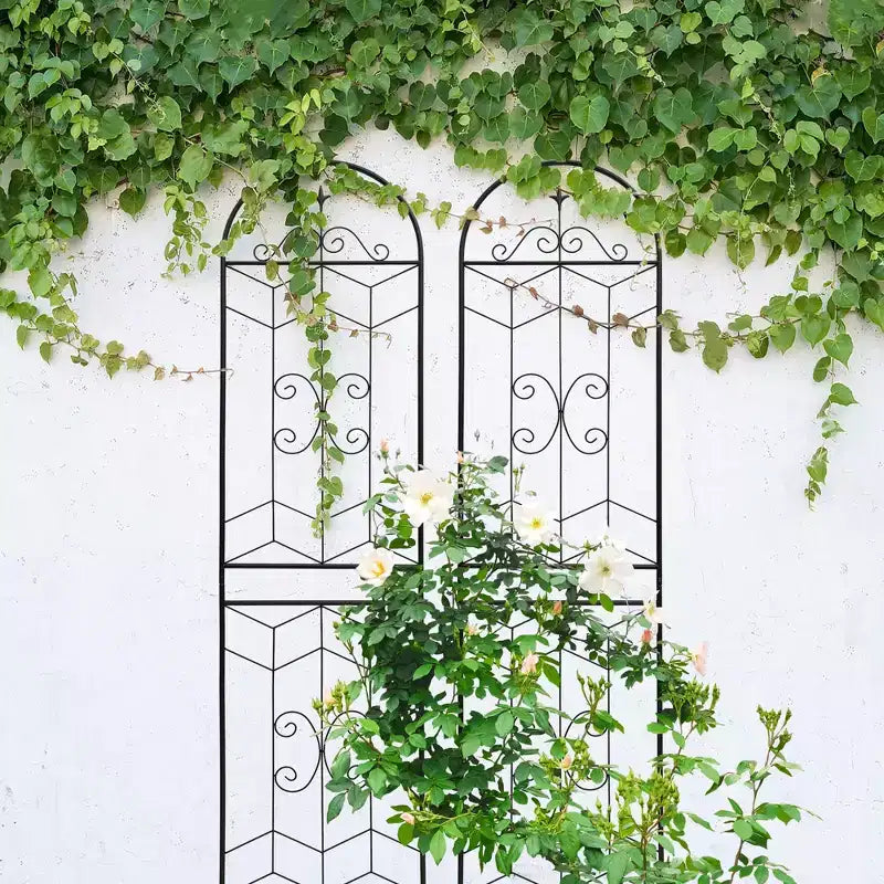 MAYEERTY Lot de 2 treillis de jardin en métal, 220 x 50 cm, antirouille, pour plantes grimpantes, fleurs d'extérieur, noir