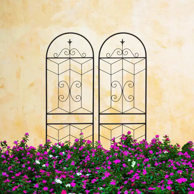 MAYEERTY Lot de 2 treillis de jardin en métal, 220 x 50 cm, antirouille, pour plantes grimpantes, fleurs d'extérieur, noir