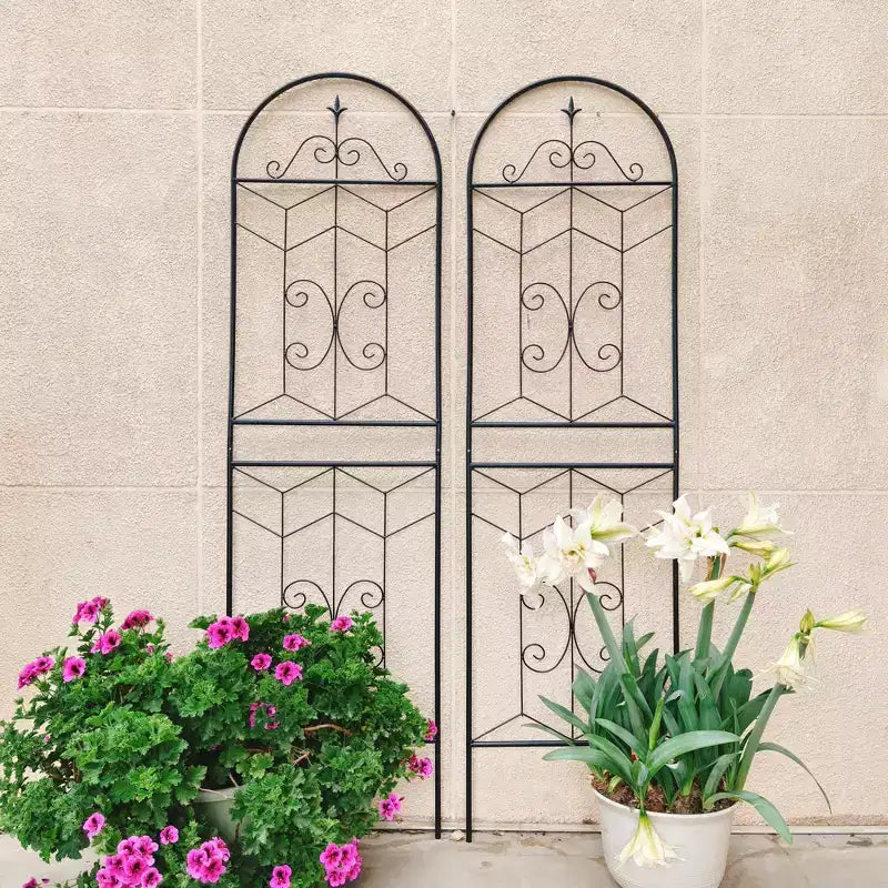MAYEERTY Lot de 2 treillis de jardin en métal, 220 x 50 cm, antirouille, pour plantes grimpantes, fleurs d'extérieur, noir