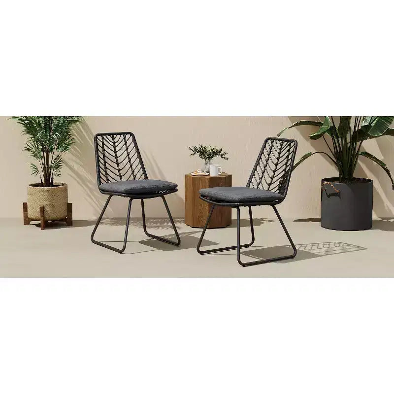 MAYEERTY Lot de 2 Chaises Avec 2 Coussins Gris Assise Confortable pour Salon Salle à Manger