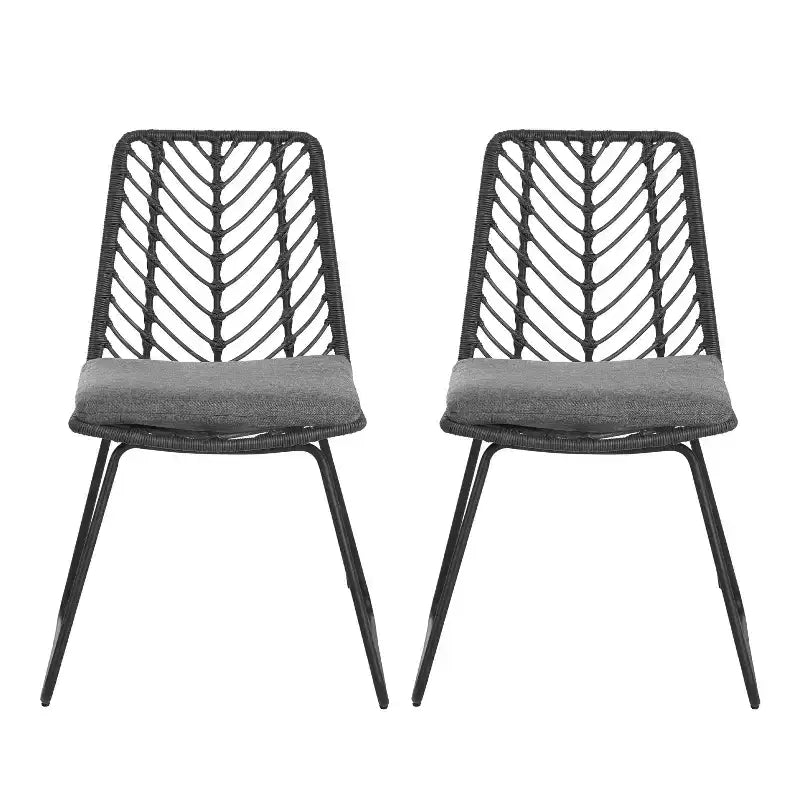 MAYEERTY Lot de 2 Chaises Avec 2 Coussins Gris Assise Confortable pour Salon Salle à Manger