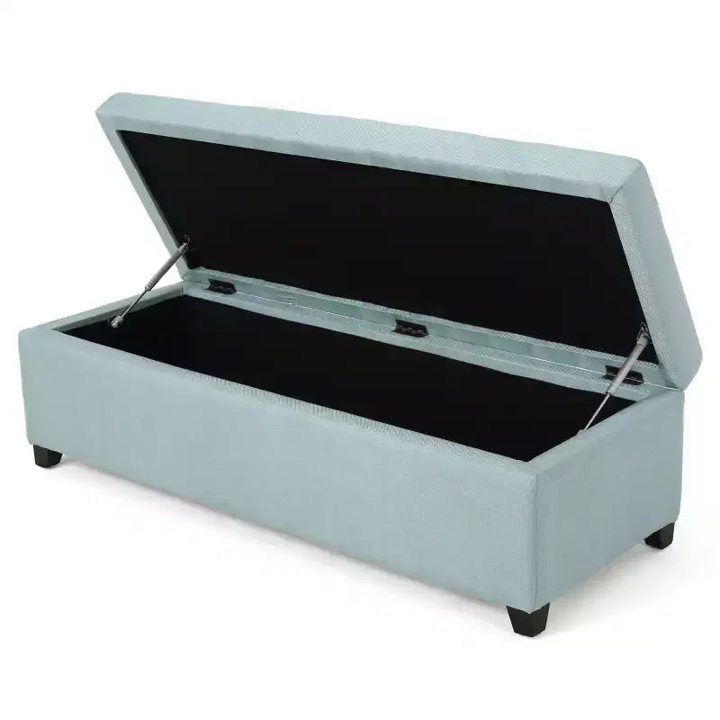 Banc ottoman de rangement capitonné contemporain Gannon GDFStudio