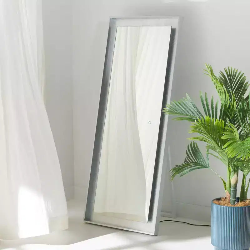 Miroir LED Montauk 22X65 - LMR1015 - Safavieh