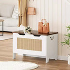 Banc de rangement décoratif Acekool, coffre d'entrée double usage avec charnière de sécurité