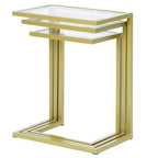 HomeRoots 24 Chrome Glass Rectangular End Table