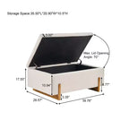 Banc de rangement ottoman rembourré moderne Christopher Knight Home Sallyann avec couvercle relevable