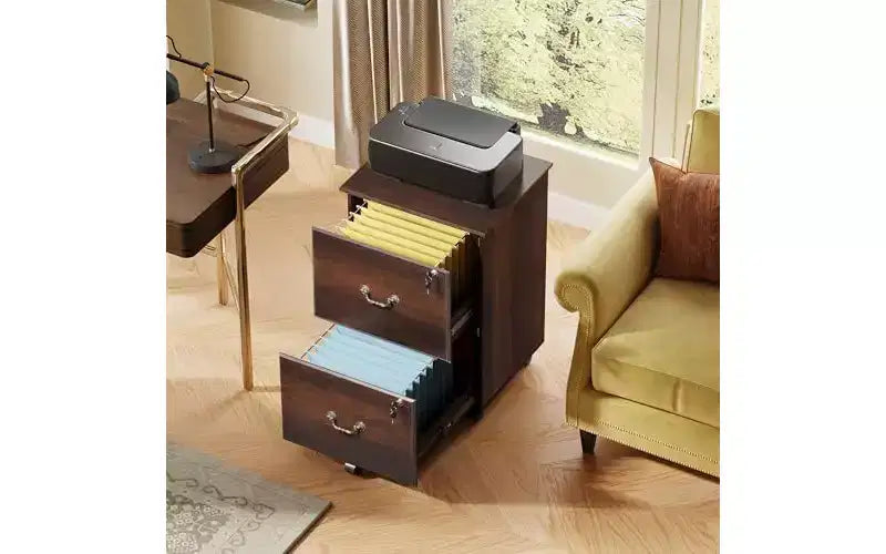 Classeur DEXYLLO 2 tiroirs, petit meuble de bureau avec serrure, meuble de classement roulant sous le bureau pour bureau à domicile