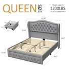 Cadre de lit plateforme Dyonery Queen Size, lit rembourré en velours avec tête de lit capitonnée à boutons profonds et ailes cloutées / Aucun sommier tapissier requis