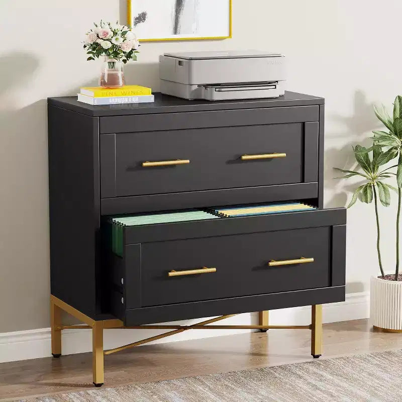 Meuble de classement à 2 tiroirs Lantine, armoire de classement latérale moderne en bois pour documents de format lettre/légal/A4 avec support d'imprimante pour bureau à domicile, noir et or