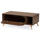 Table basse moderne du milieu du siècle Edel Noyer/Brun/Doré - Baxton Studio