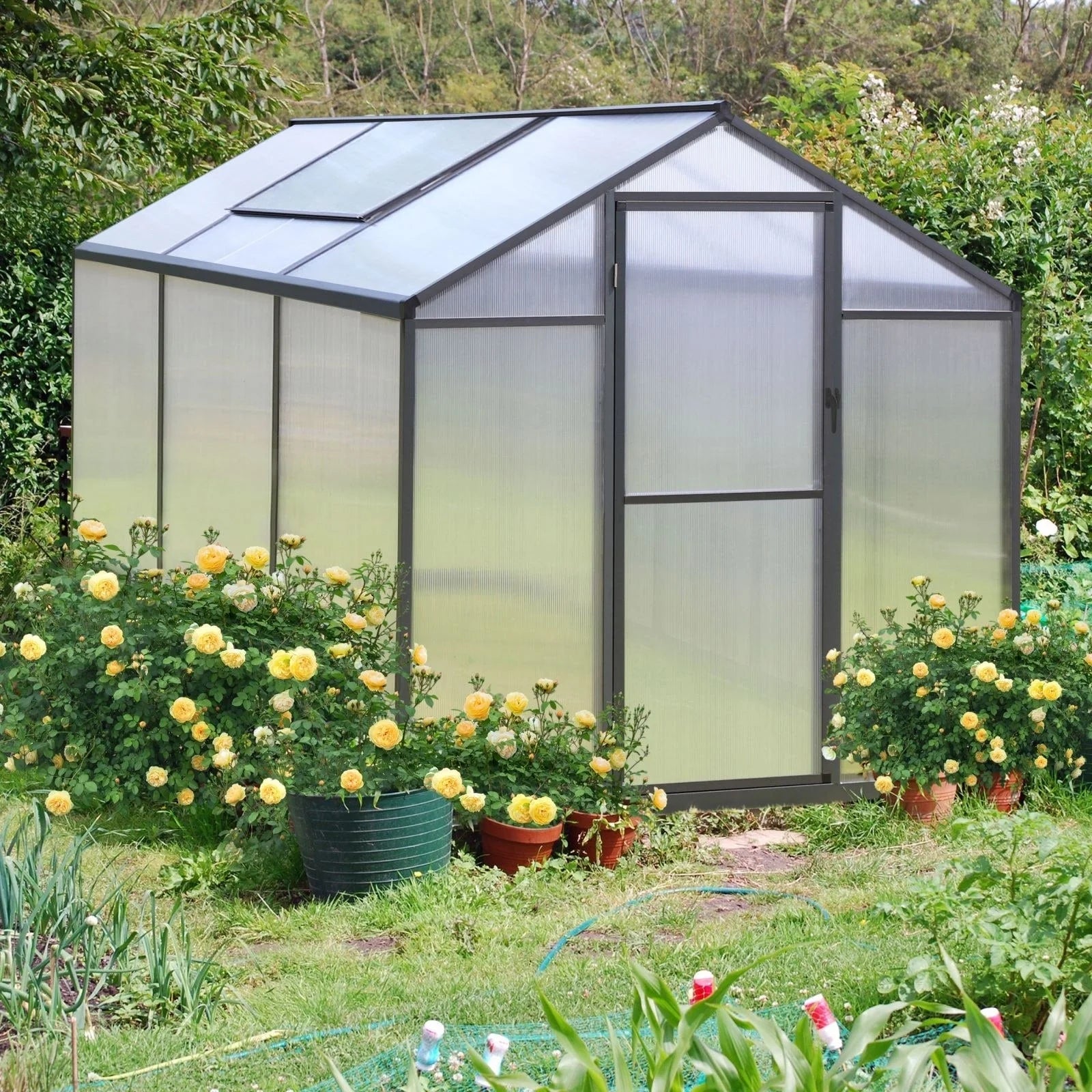 Serre de jardin aluminium VEIKOUS avec évent de toit réglable et porte verrouillable Grise