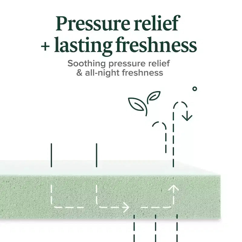 Matelas en mousse à mémoire de forme Zinus 8 pouces Double Thé vert, sans fibre de verre, fermeté moyenne, soulagement de la pression zoné, mousses et tissu certifiés sûrs
