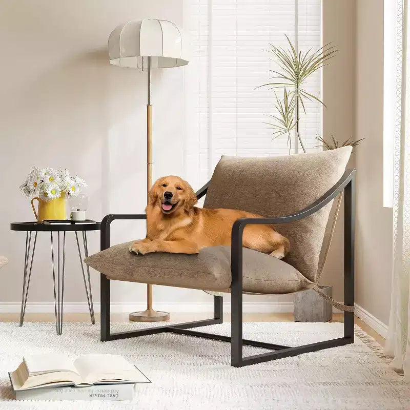 COZONY Fauteuil d'appoint moderne, fauteuil de lecture à cadre métallique, accoudoirs, coussin en mousse souple, capacité de 127 kg, fauteuil rembourré en toile pour salon, chambre à coucher, lounge