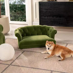 Jennifer Taylor Home Kiki Canapé-lit Chesterfield pour chien de 36,5 po, taille M