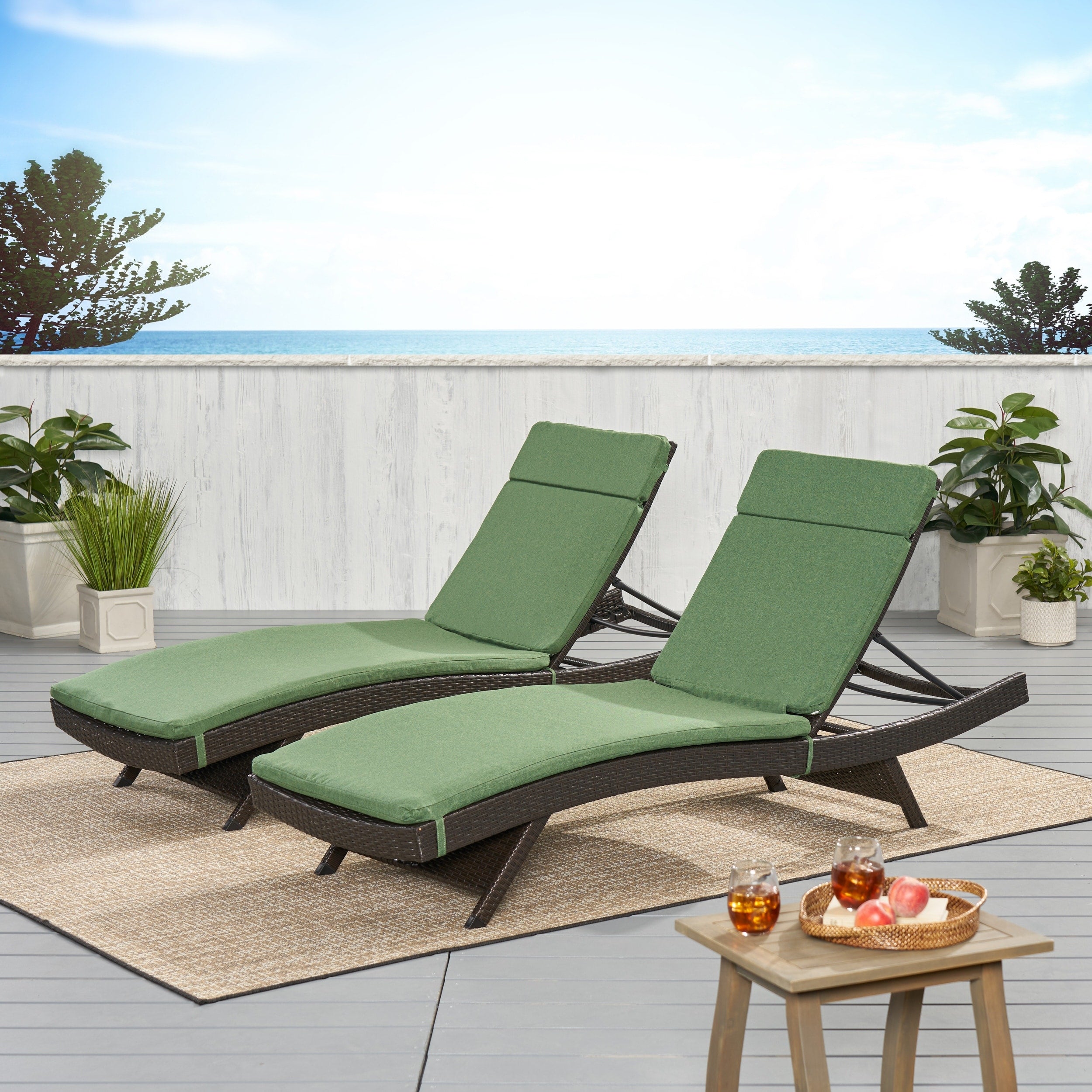 Ensemble de coussins d'extérieur Salem pour chaise longue - Coussins uniquement (lot de 2) par Christopher Knight Home - 79,25L x 27,50W x 1,50H
