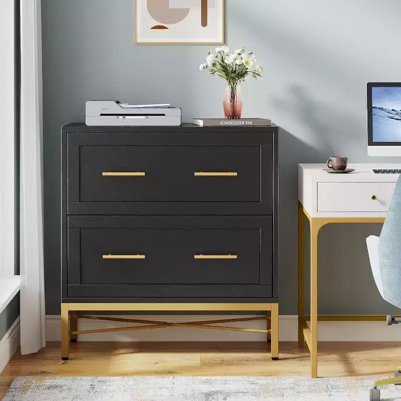 Meuble de classement à 2 tiroirs Lantine, armoire de classement latérale moderne en bois pour documents de format lettre/légal/A4 avec support d'imprimante pour bureau à domicile, noir et or