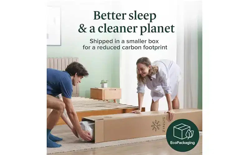 Matelas en mousse à mémoire de forme Zinus 5 Twin au thé vert, sans fibre de verre, fermeté moyenne, soulagement de la pression zoné, certifié sûr, matelas en boîte