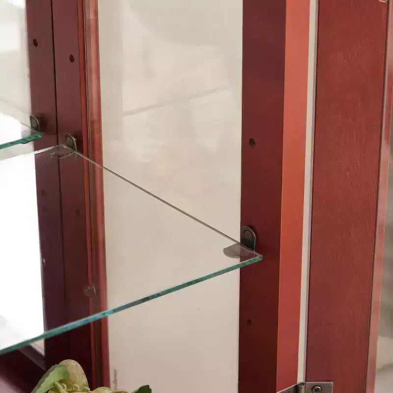 Vitrine à 2 portes avec portes en verre trempé, panneau arrière miroir, étagères réglables et éclairage pour le bureau à domicile